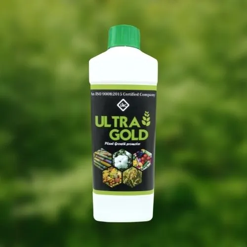 6nXPDh900SgmLkAZn87r9I1KftQvDcu6UJmTzGW4