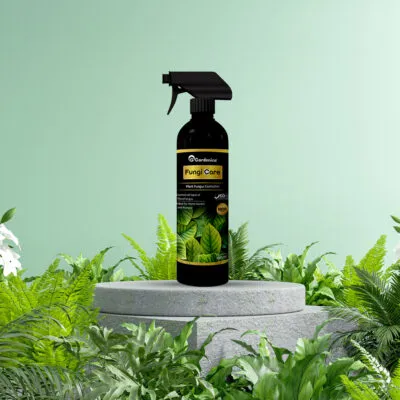 9kFJpNJ2LLAi7lEFsTi8mwrqxJRia66RIvx19OHv