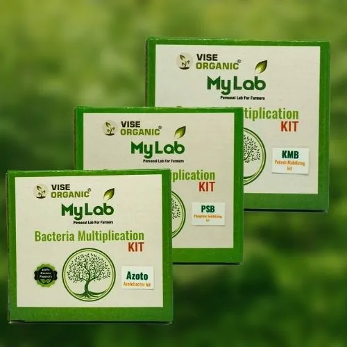 RRmqER9fY88TIgjMOs11FgjtsxzT6UqklpHjKBx2