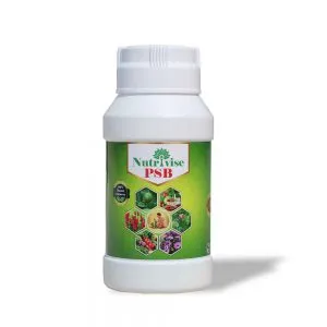 gSMxjelCez4UBSQllk2Yq0vaaDF3r06FdklRefD3