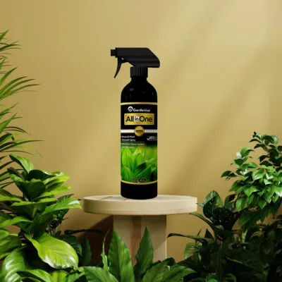 j2cYW6LGsFlsAYnYBueM1F0JGjXO3JrIMkCCCUqx