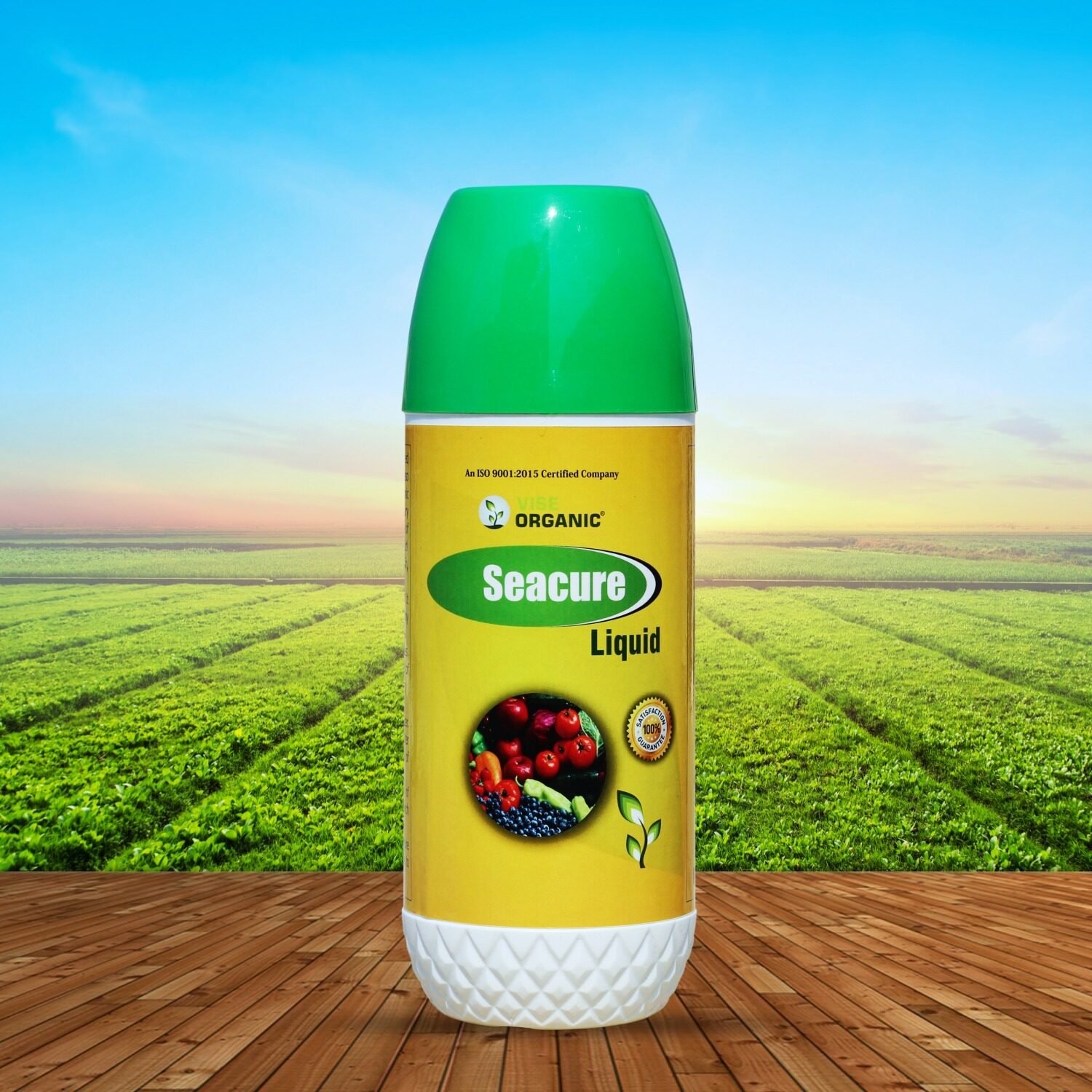 l1rLu51ZgtEjt7YPE3FB96fPWoesnhXXT4J0LbA1