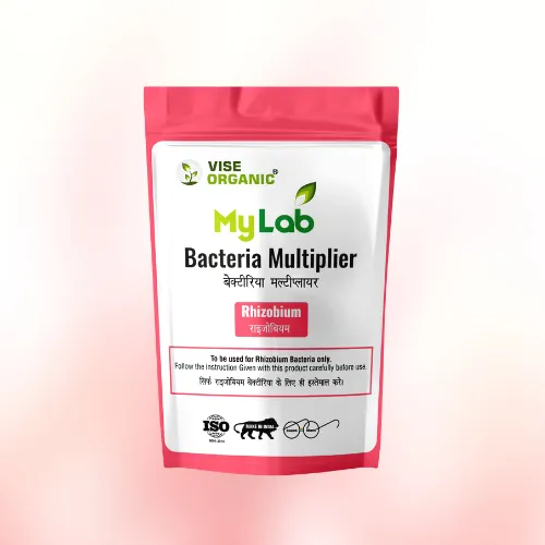 sXt8kzVEdfBGNmToftHEtlJuAku0ch7bfzjcW3Xm