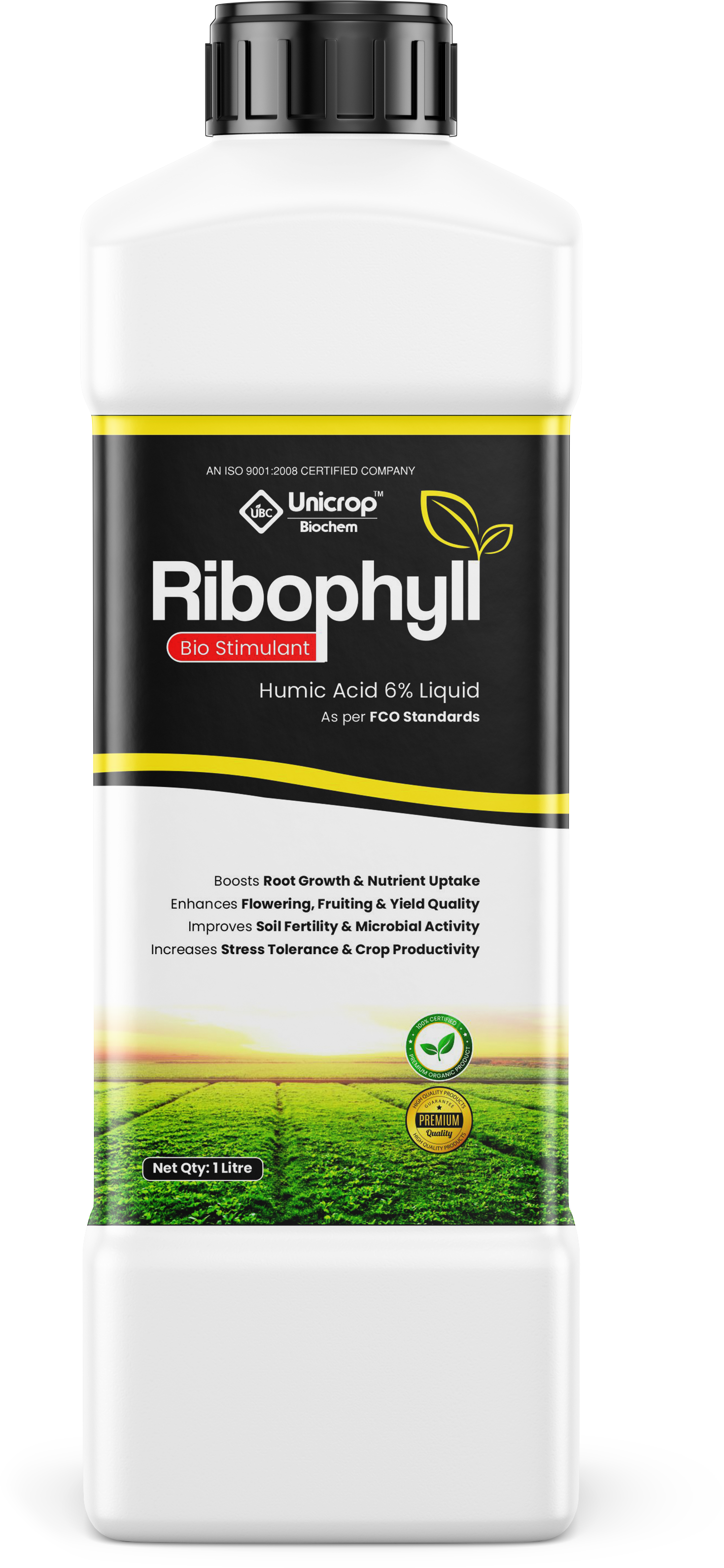Ribophyll image 2