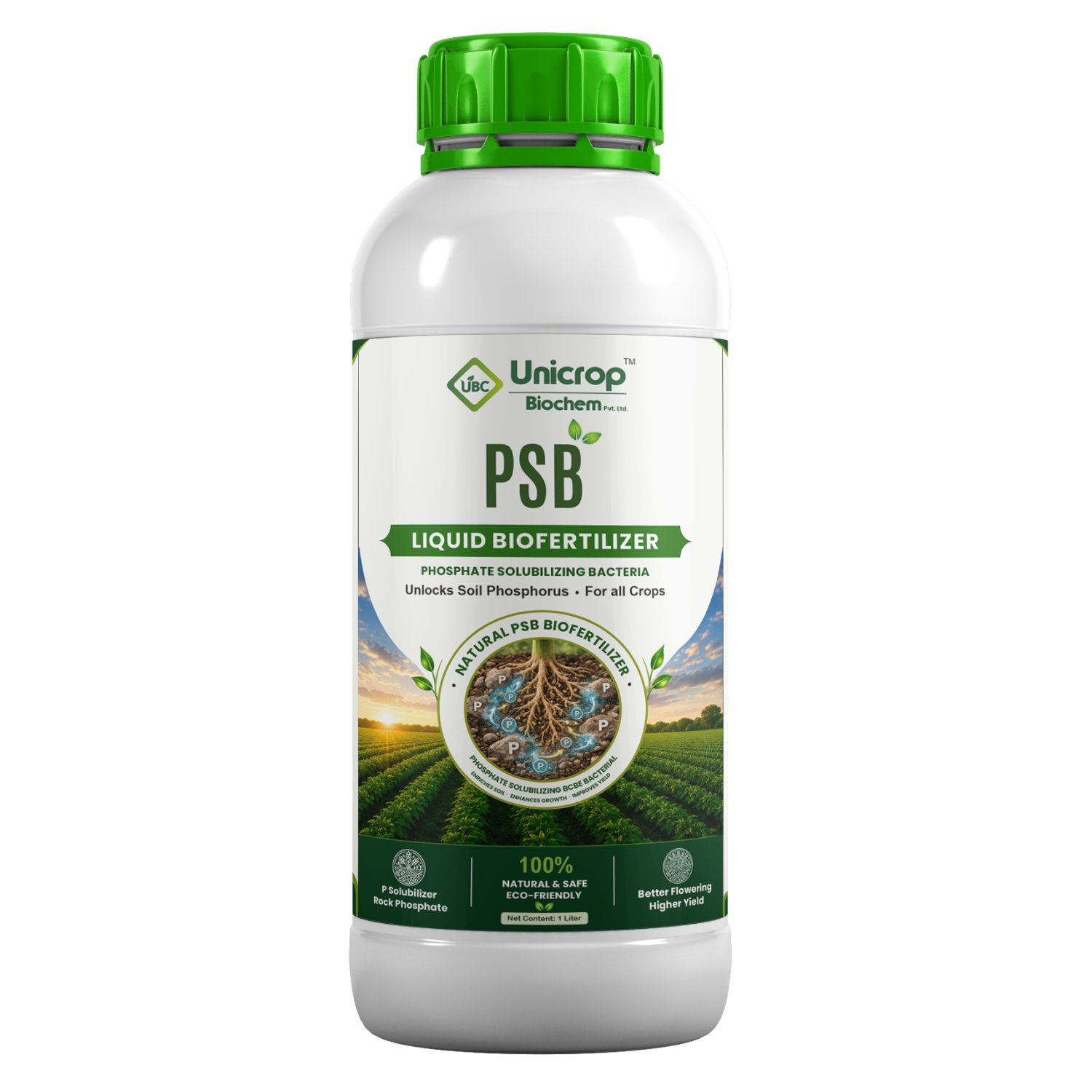 Phosphate Solubilizing Bacteria (PSB)