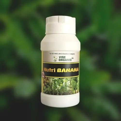 Nutri Banana 1 Kg