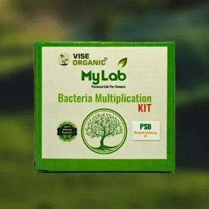 MyLab PSB