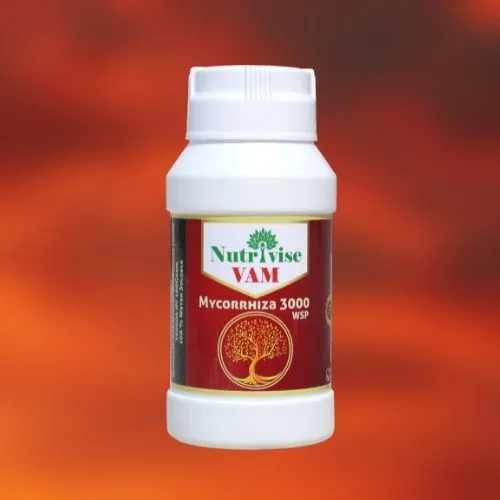 VAM - Vesicular Arbuscular Mycorrhiza Biofertilizer - Root Enhancer & Essential Plant Growth Booster. (3000IP - 1 kg)