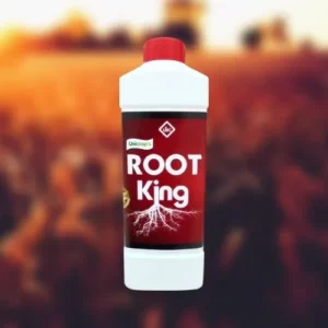 Root King