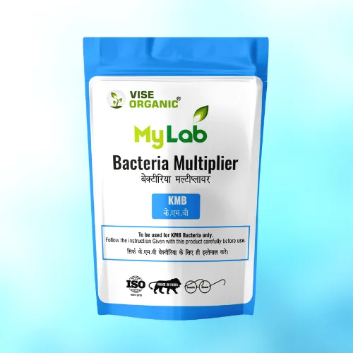 KMB Multiplier